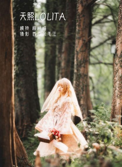 AV无码免费_超清在线观看电视